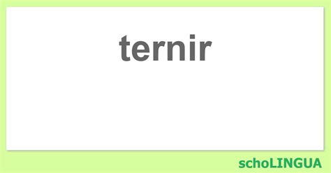 ternir synonyme